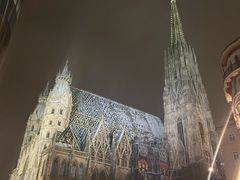 -斯蒂芬主教座堂(Stephansdom)