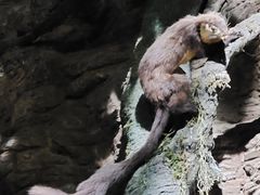 -昆明动物博物馆