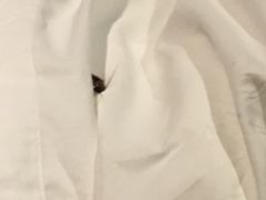 -JOYA湾悦国际酒店(世界之窗店)