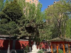 -护国法轮寺