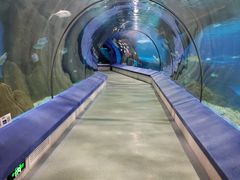 -福州罗源湾海洋世界旅游区