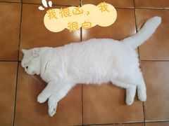 -彳亍咖啡·这里(水湾路店)