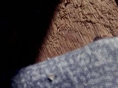 -成都美食巫山烤鱼(三里河路店)