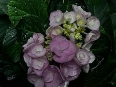 -成都院坝精品私汤民宿酒店