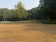 -重庆彩云湖湿地公园