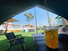 -爪吧宠物乐园·宠物泳池(温榆河示范区店)
