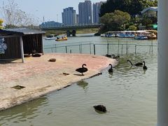 -琅岐红光湖公园