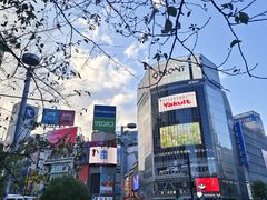 -涩谷全向十字路口