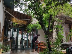 -喵屿·大理花园猫咖