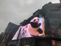 -合景·悠方(成都店)