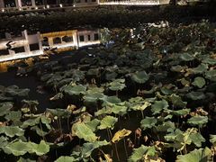 -南通濠河风景名胜区