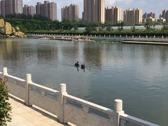 -菊园百果园