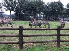 -大连森林动物园