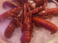 -红盔甲·小龙虾(车公庙店)