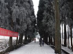 -武陵山森林公园
