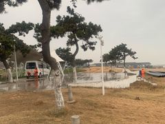 -日照海滨国家森林公园
