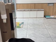 -瑞派雷欧宠物医院·24h夜诊·心脏骨科牙科·全科重症转诊中心(无影山店)