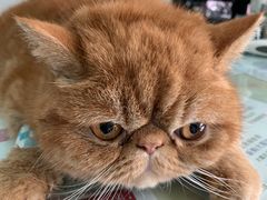 -百信宠物医院(东升街店)