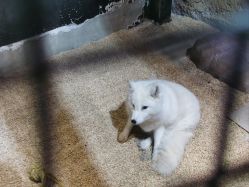 -酷嗒动物文化乐园(cutezoo西溪乐天城店)