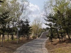 -莫子山公园