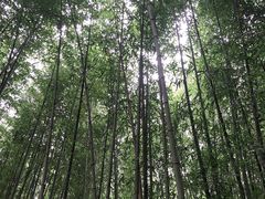 -竹泉村旅游度假区