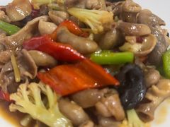 -福建美食城(老君堂店)