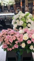 -巍阁高端月子会所