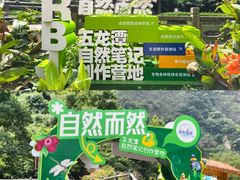 -宁波五龙潭景区