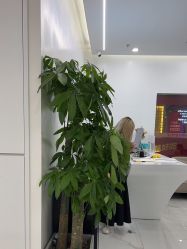 -崇尚GAVIN STYLE臻选