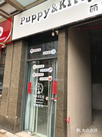 养了这只猫咪，没想到，给我家小猫咪洗澡都这么过细
