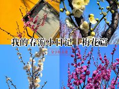-无锡梅园公园