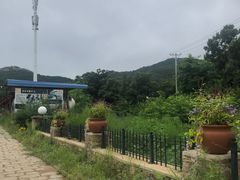 -金石滩蓝莓谷庄园
