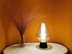 -阿妮叶李(光谷世界城店)