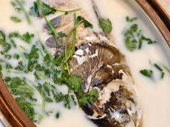 -御水温泉度假酒店-中餐厅