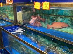 -小贝壳酒楼(经九路店)