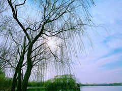 -大兴滨河森林公园