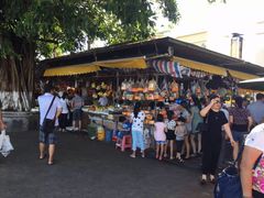 -大湾区中央湿地公园-十九涌