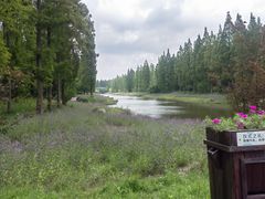 -黄海国家森林公园