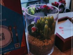 -大鸭梨(天通西苑店)