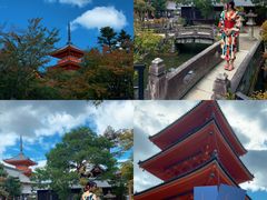 -有栖山 清光院 清水寺