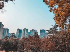 -塔子山公园