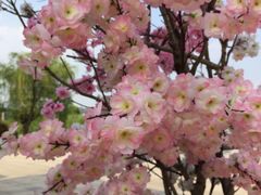 -张家港凤凰山景区河阳山歌馆