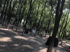 -亲兄弟真人CS团建拓展基地