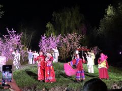 -常德桃花源景区