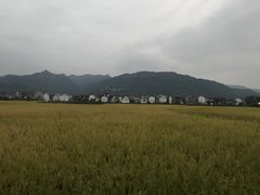 -楠溪江风景名胜区