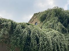 -府河摄影公园