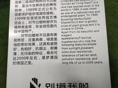 -苏州河梦清园环保主题公园