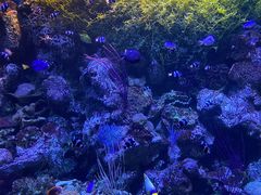 -大连老虎滩海洋公园