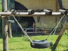 -西安秦岭野生动物园