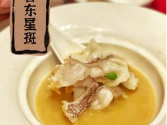 -彩丰楼中餐厅·早茶·点心·粤菜(海口华彩洲际酒店)
